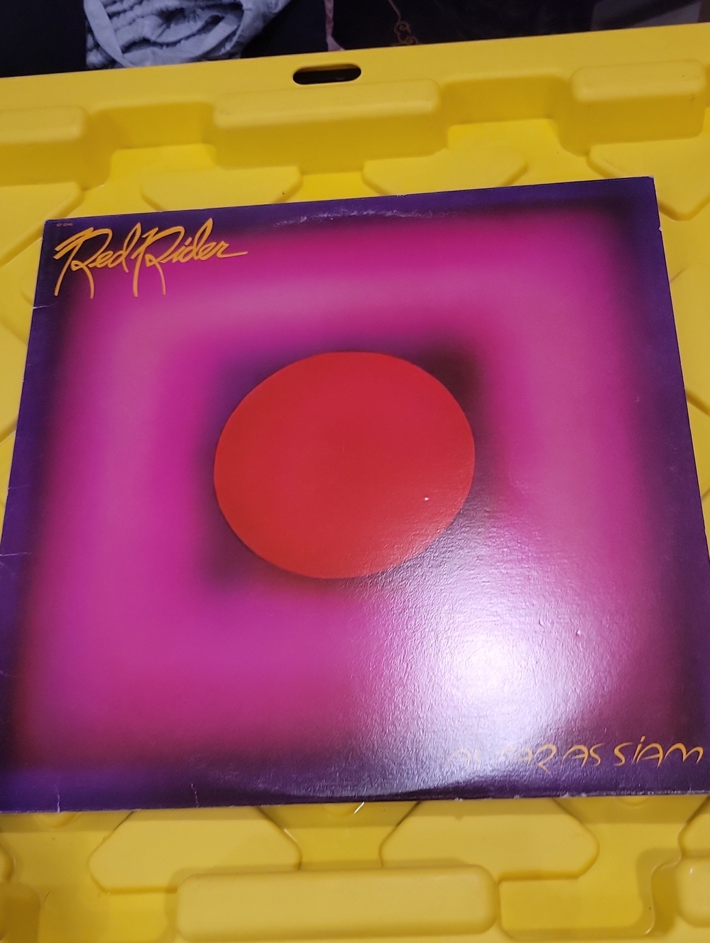 Purple & Red Album Cover Art -